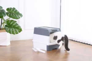 Katlanabilir PP Evcil Hayvan Tuvaleti Taşınabilir Katlanabilir Kedi Tuvaleti Ev ve Seyahat İçin - Product Image 3