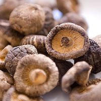 Champignons comestibles de qualité supérieure, champignons shiitake séchés entiers, emballage en vrac, qualité A