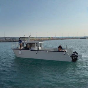 Bateau à moteur à double coque en aluminium entièrement soudé de 11 m (36 pieds) pour la pêche et les loisirs, type catamaran, avec passerelle latérale - Product Image 2