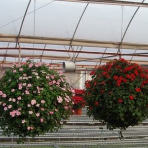 Jardinières suspendues décoratives en forme de boule SL-Y060 Décoration de jardin Jardinières suspendues à fleurs pas chères - Product Image 4