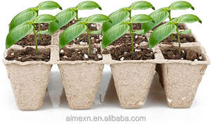 Kits de plateaux de démarrage de <span class=keywords><strong>graines</strong></span> pour Pots à haricots, 10 pièces, accessoires biodégradables pour plantes organiques, d'arrosage, livraison directe de l'usine - Product Image 5