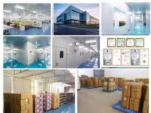 OEMタンパク質サプリメントスーパーフードマンゴーグリーンイチゴキウイグリーン粉末エネルギー向上カスタマイズフレーバーメーカー - Product Image 4