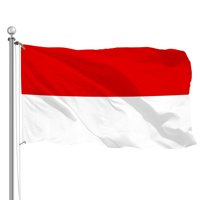 Drapeau personnalisé OEM en polyester Hessen 3x5ft 90x150cm, bannière d'État allemande pour événements sportifs, résistant aux UV, drapeau d'extérieur