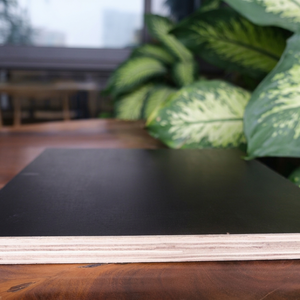 High Quality FOMEX GREENWOOD FIRST-CLASS Modern Eucalyptus Core <b>Black</b> Film Plywood Double-<b>Sided</b> Decoration Marine Formwork - Product Image 1