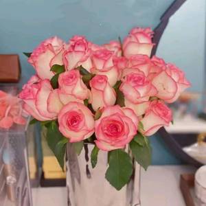 Ramo <span class=keywords><strong>de</strong></span> Rosas Multicabezas con Efecto Burbuja - Flores Hidropónicas Conservadas en Agua <span class=keywords><strong>de</strong></span> Granja Directa <span class=keywords><strong>de</strong></span> Kunming, Yunnan para Qixi - Product Image 3
