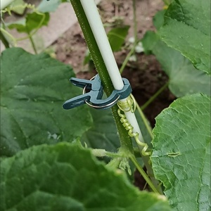 Clip di Fissaggio a Muro Verdi per Orticoltura, per Vasi di Fiori e Piante, Ideali per la Coltivazione - Product Image 3