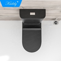 Juego de Inodoro de Dos Piezas con Descarga Doble, Moderno, Alargado, con Sifón en Forma de S y P, de Cerámica Negra Mate, para Baño