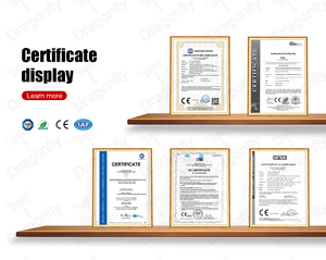 Dispositivo <span class=keywords><strong>Multifunzione</strong></span> 2 in 1 Certificato CE: Rimozione Peli con <span class=keywords><strong>Laser</strong></span> a Diodi 2000W 3 Onde + Rimozione Tatuaggi Nd Yag - Product Image 6