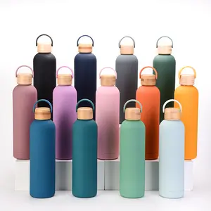 500ml 750ml nhà máy tùy biến du lịch đôi tường chân không cách nhiệt thép không gỉ thể thao Flask Flask chai nước