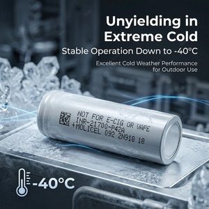 Baterai Silinder Premium Molicel 4200mAh 3.7V NMC 21700 untuk Sepeda Listrik - Product Image 2