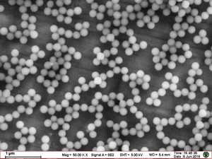 Microsphères fluorescentes résolvées dans le temps pour la chromatographie en fluorescence - Product Image 6