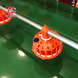 Nuovo Design <span class=keywords><strong>2026</strong></span>: Strumenti Automatici per l'Alimentazione e l'Abbeveraggio dei Polli, in Metallo, a Basso Costo di Manutenzione, per l'Allevamento di Broiler e l'Avicoltura - Product Image 6