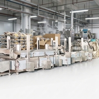 Máquina para Hacer Papas Fritas Más Vendida, Sistema Automático de Sazonamiento y Fritura para la Producción de Snacks Crujientes de Alta Calidad
