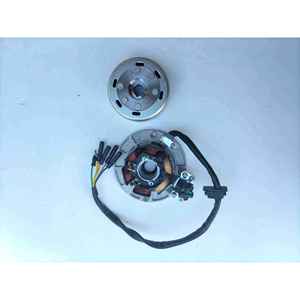 Bobina de Encendido Magneto para Motocicleta Todoterreno de Alta Velocidad Yinxiang 160, Estator, Rotor, Bobina de Encendido YX160, Embalaje en Caja - Product Image 2