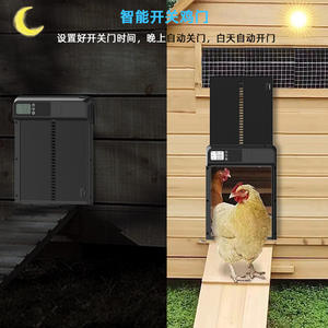 Porta per Pollaio Intelligente di Alta Qualità con Sollevamento Automatico Temporizzato - Product Image 3