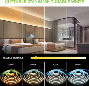 Tira de diodos emisores de luz COB en oferta, regulable, de dos colores, temperatura de color blanco, tira de diodos emisores de luz flexible - Product Image 3