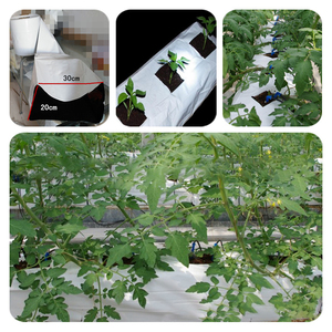 <span class=keywords><strong>Poly</strong></span> đen trắng hydroponics trồng túi Cà chua phát triển Túi thủy canh soilless phát triển Túi - Product Image 4