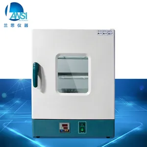 Laboratory Drying Oven Hot Air Drying Oven Electrical Heating Drying Oven For Motor Drying