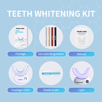 Kit de Soins Bucco-Dentaires à Domicile : Appareil Portable de Blanchiment Dentaire Sans Fil à LED, Marque Privée, Vente en Gros, Logo Personnalisé