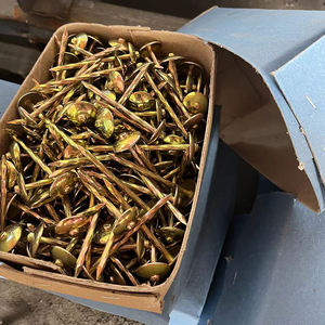 2.5 in 3 pollici di ombrello zincato testa liscia unghie ombrello tetto chiodo zincato 3 pollici foglio di copertura chiodo - Product Image 4