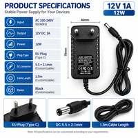 Adaptateur secteur mural 12W 12V 1A certifié CE FCC, personnalisé en usine, boîtier ABS, adapté aux bandes lumineuses LED et aux routeurs