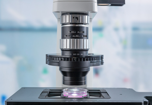 Axiovert 5/7 Intègre la technologie de microscopie intelligente dans votre laboratoire de culture cellulaire - Product Image 5