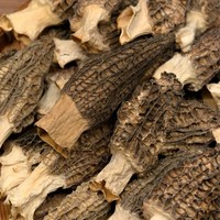 Morilles de qualité supérieure à prix préférentiel, morilles cultivées, morilles séchées biologiques