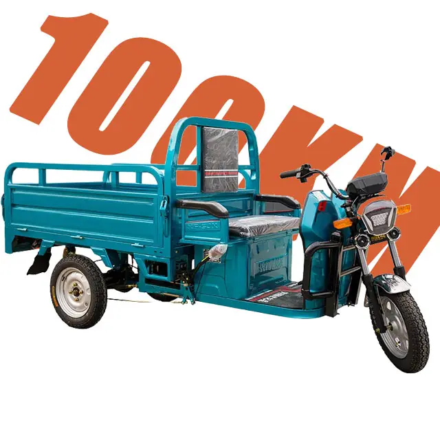 Precio bajo 2 asientos 3000W Hub Motor carga pesada 3 ruedas entrega Ev motocicleta carga potente adulto recargable triciclo eléctrico