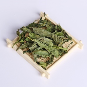 LB02 You Dun Cao乾燥クリナカンサスNutans葉ハーブティー乾燥サバヘビ草葉乾燥中国ハーブ - Product Image 3