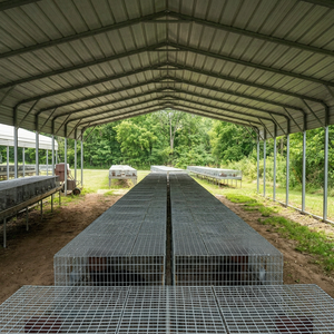Malla Expandida de Hierro Galvanizado <span class=keywords><strong>Longford</strong></span>, Calibre 6, Malla de Construcción Soldada de 6 pies, Apertura Cuadrada de 10 mm para Cercas, Corte Disponible - Product Image 4