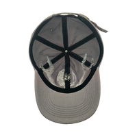 Katoenen Oxford stof patch geborduurde patroon groothandel 6-delige 100% katoenen baseball caps voor volwassenen met metalen gesp