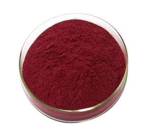 Bubuk ekstrak kismis hitam Premium 25% antosianin | Bersertifikat organik | Kelas Makanan & Minuman - Product Image 1