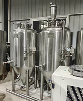 Équipement de traitement et de fermentation de la bière et de l'alcool en cuve sous pression de 700 L