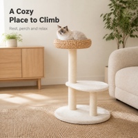 Lit tressé pour chat, zones de repos rembourrées et douces, poteaux à gratter enveloppés, perchoirs d'escalade, espace de sieste intérieur, mobilier pour chat, arbre à chat