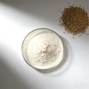 Fornitura di Proteine Naturali di Quinoa Idrolizzate, Peptidi Germogliati ad Alto Contenuto Proteico, Purezza 50% Proteine di Quinoa - Product Image 2