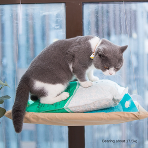 Hamac d'été robuste pour chat avec ventouse en plastique durable Lit de sécurité solide pour chat avec siège de repos Produits pour chat - Product Image 1
