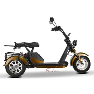 three wheel motorcycle fat tire 3 wheel Electric Tricycle three wheels adult 2000w cargo electric bike with basket