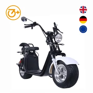 Coc Eec 3000 Met 2000W Volwassen Elektrische Scooters Mobiliteit Met Stoel Krachtig