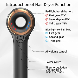 Nouveau Style ionique, meilleure <span class=keywords><strong>marque</strong></span> Max Power Salon <span class=keywords><strong>de</strong></span> beauté japon <span class=keywords><strong>professionnel</strong></span> Bldc moteur sèche-<span class=keywords><strong>cheveux</strong></span> - Product Image 4
