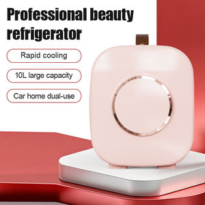 Réfrigérateur de <span class=keywords><strong>maquillage</strong></span> 4L bon marché <span class=keywords><strong>Mini</strong></span> réfrigérateur pour <span class=keywords><strong>maquillage</strong></span> Nouvelle maison Portable beauté réfrigérateur <span class=keywords><strong>maquillage</strong></span> - Product Image 2