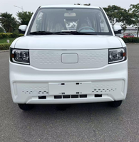 Voiture électrique mini-voiture ENTU EEC sans permis, quatre roues, EV avec 145 km d'autonomie pour adultes