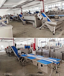Línea de producción automática de lavado de verduras y frutas, línea de procesamiento de verduras para ensaladas, verduras de hoja verde y raíz - Product Image 6