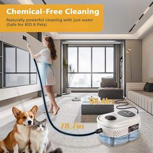 Nettoyeur vapeur portatif multifonctionnel avec temps de chauffe de 15 secondes, réservoir d'eau pour nettoyer les sols, les voitures, les espaces extérieurs, les hôtels - Product Image 5