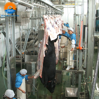 Machine d'abattage de vaches, équipement d'abattage de vaches