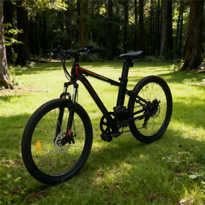 Vélo électrique de montagne pour adultes 26 pouces 250W 36V Batterie au lithium Cadre en alliage d'aluminium Autonomie >60 km Fabriqué en Chine - Product Image 1