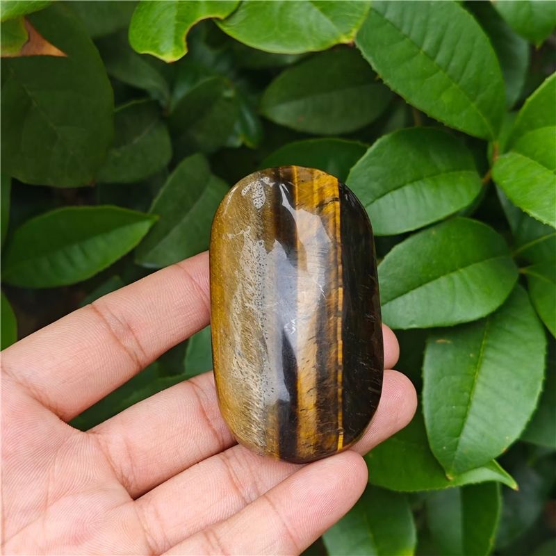 ตาเสือเหลือง