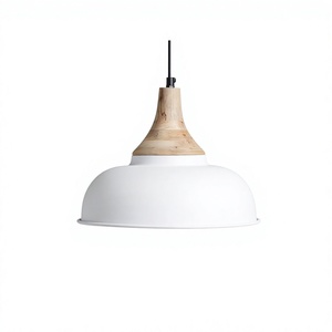 Standard Quality Home Decor Lights Pendent <b>Lamp</b> Brown & White Color Latest Arrival Drawing Room & <b>Bed</b> Room Decoration Chandelier - Product Image 1