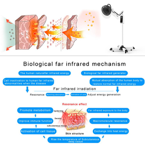 Lampada per terapia a infrarossi terapia elettromagnetica per uso domestico lampada per terapia a infrarossi per personalizzazione OEM all'ingrosso - Product Image 6