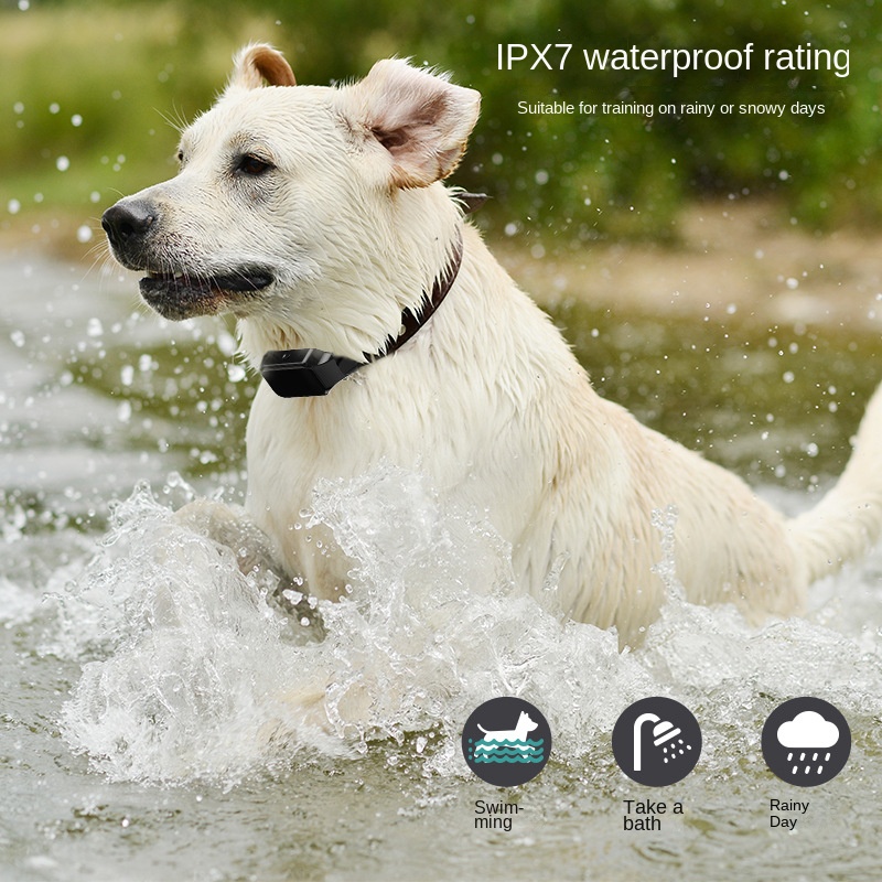 Petway T330 Dog Training Collar - Remote Control, Waterproof, Electric Shock/Vibration/Sound Trainin