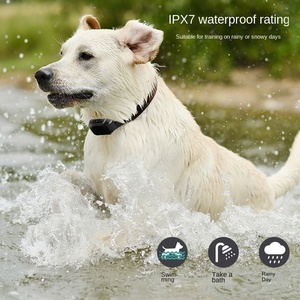 Collier de dressage électronique puissant pour chien, avec télécommande, étanche, en ABS, pour chien - Product Image 5
